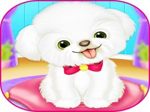 Pets Day Care Pro - Pet Care Journey
