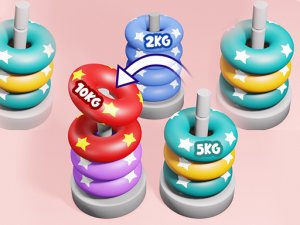 Weight Stack 3D Puzzle