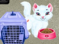 Taylor Pet Care Adventure