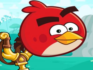 Feathered Friends Puzzle Challenge
