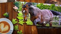 Horse Jigsaw Puzzle Game