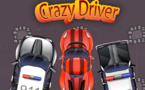 Crazy Driver Police Chase: Multiplayer Car Game Online - Ludoryx free online game